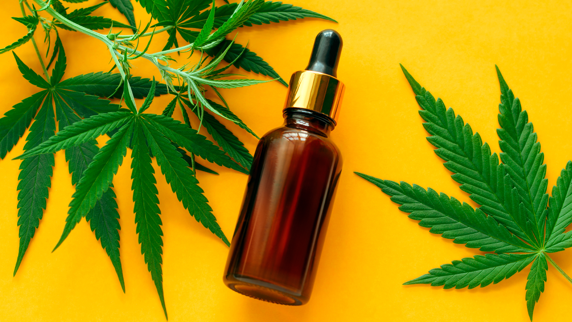 What do You need To Know And Avoid For Using Cannabidiol?