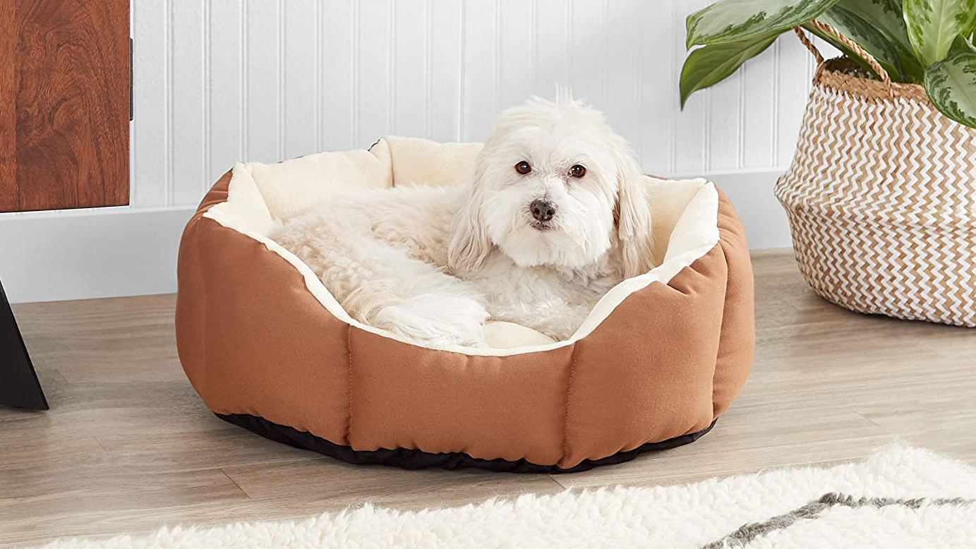 Know Dog Bed Size