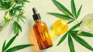 Organic CBD is a very pleasant option for your pet