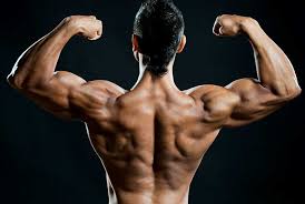 The Drug That Can Do Wonders And Blunders Both- Buy Steroids