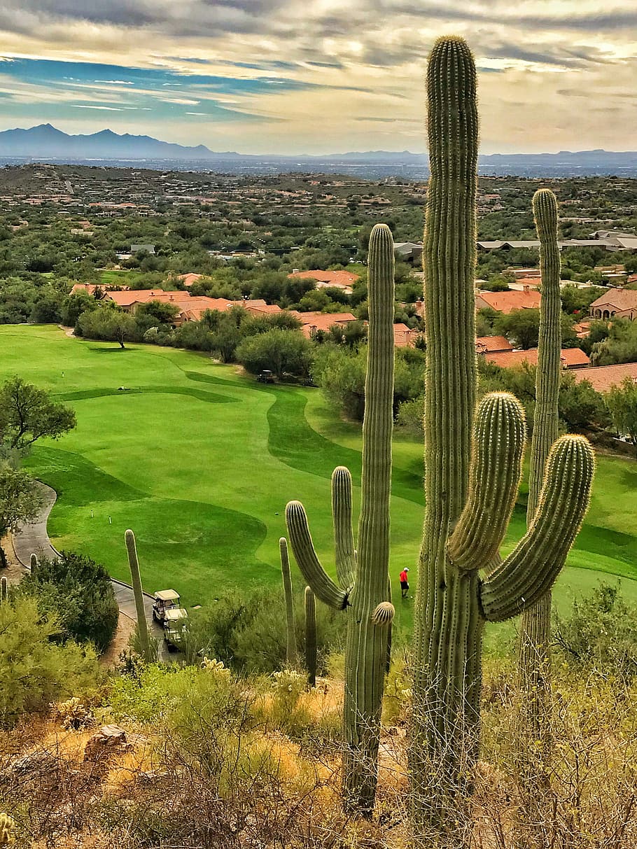 What Is The Way Available To Play Scottsdale Az Golf Packages?