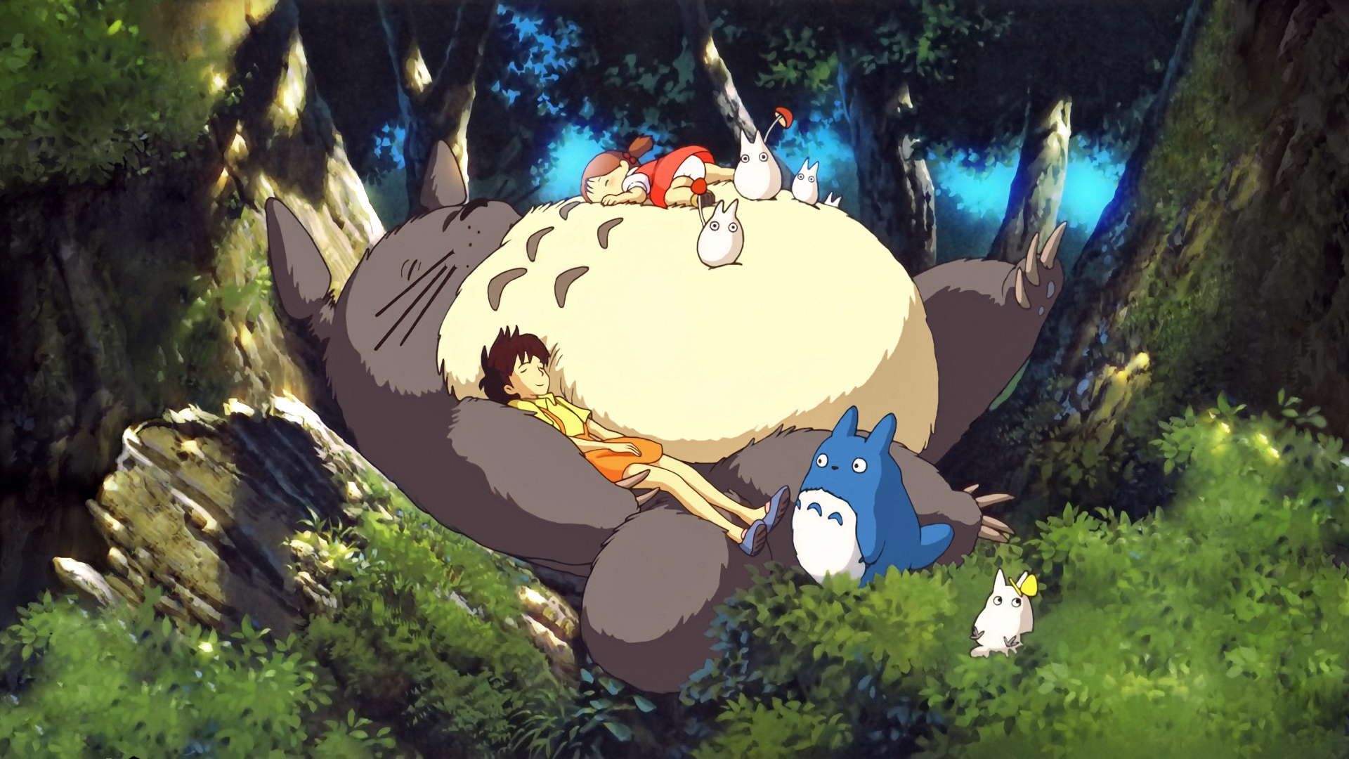 My Neighbor Totoro – How To Choose Your Size